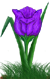 <img:stuff/TulipBrtPurpSpkSM.png>