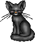 <img:stuff/black_kitty.gif>